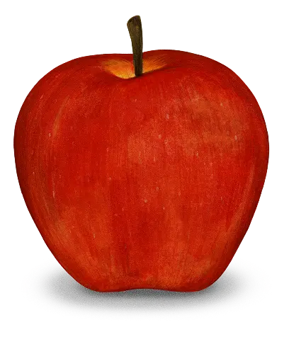 Apples