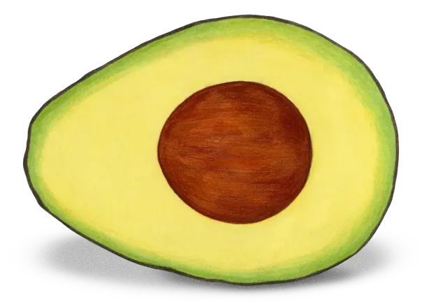 Avocado