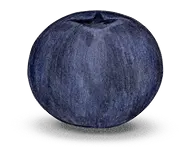 Blueberry