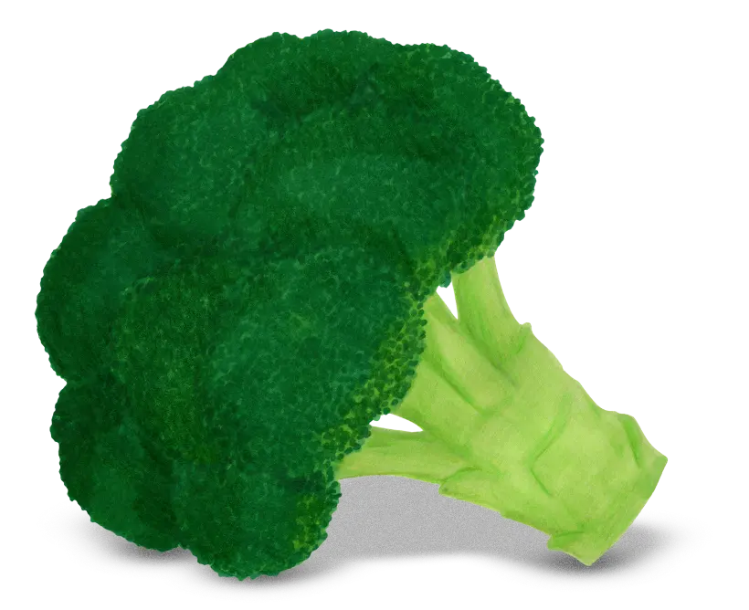 Broccoli