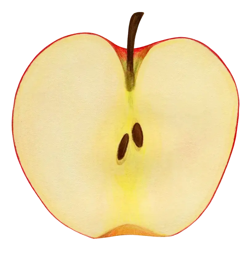 Cut Apple
