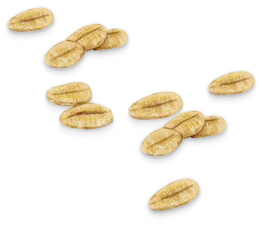 Oats