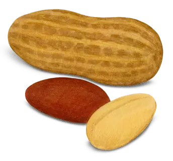 Peanuts