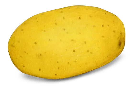 Potatoes