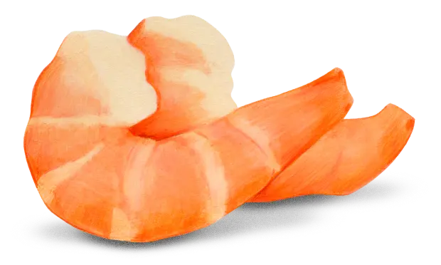 Shrimp